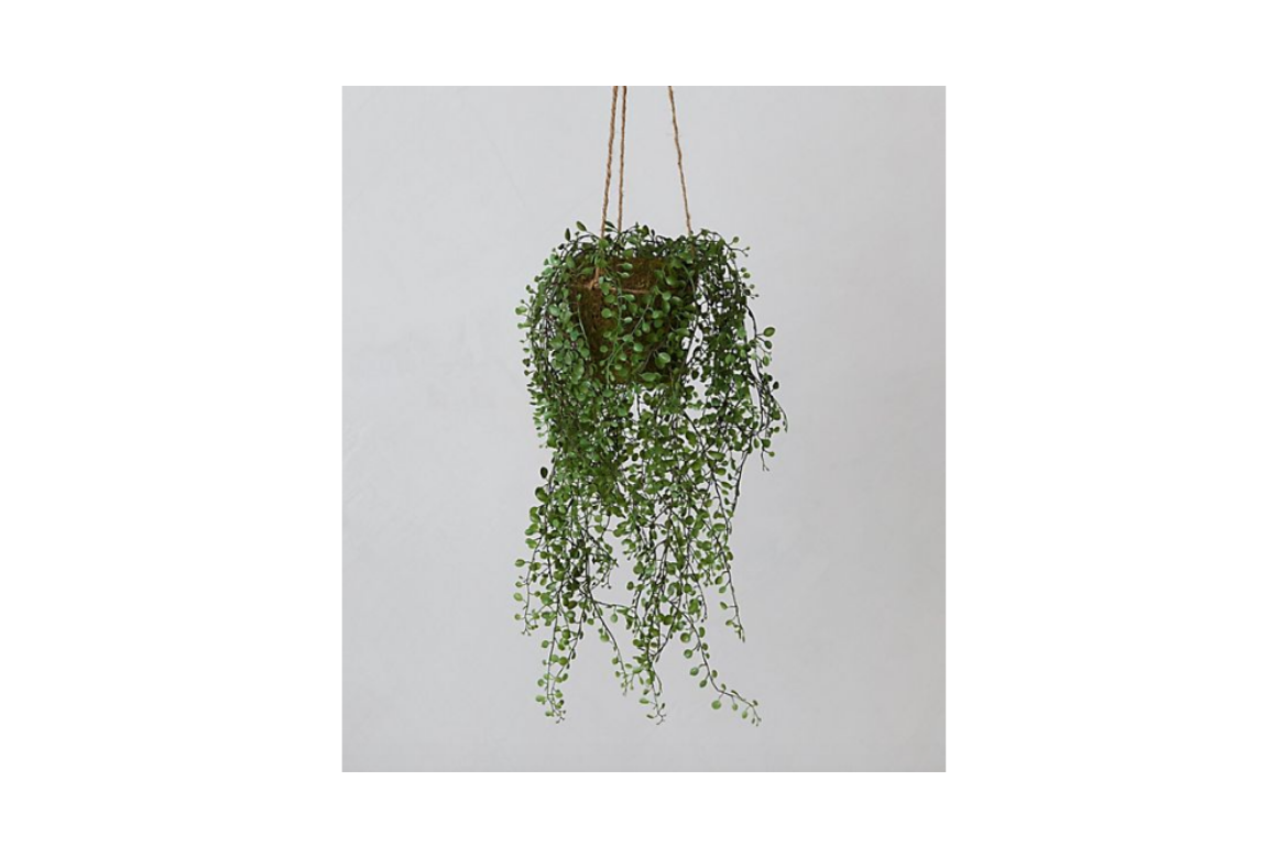 Fuax Potted Hanging Plant on Sale from Anthropologie