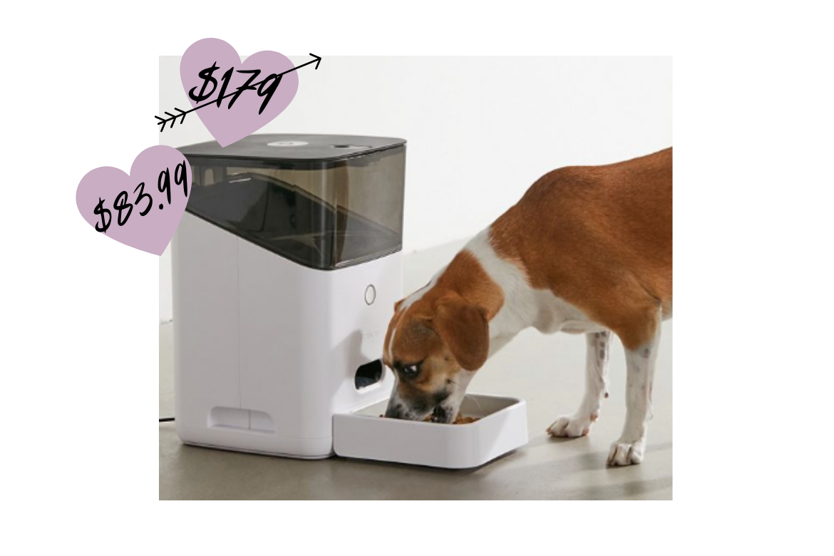 Petnet Smart Feeder on Sale from Urban Outfitters